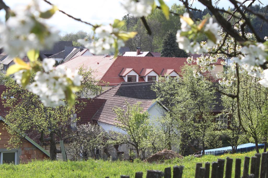 Penzion U Rudolfu Hotel Vlasenice Kültér fotó